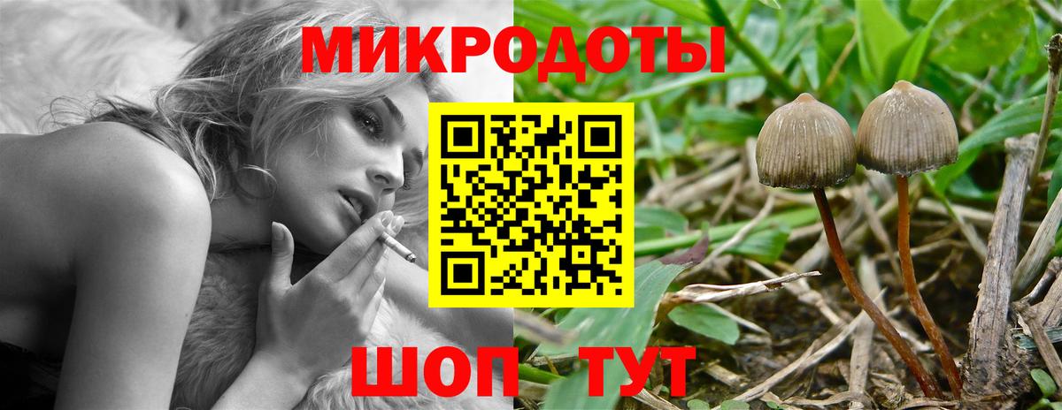 Галлюциногенные грибы мухоморы Комсомольск-на-Амуре